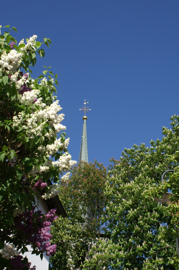 Ev.-luth. Pfarrkirche St. Georg
