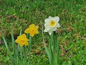 Frühling Kirchberg