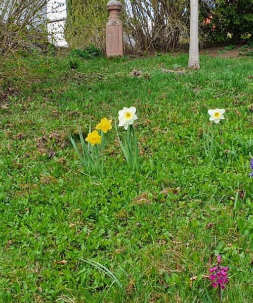 Frühling Kirchberg