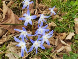 Frühling Friedhof