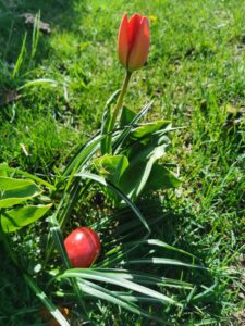 Ostern 2022 Familiengottesdienst
