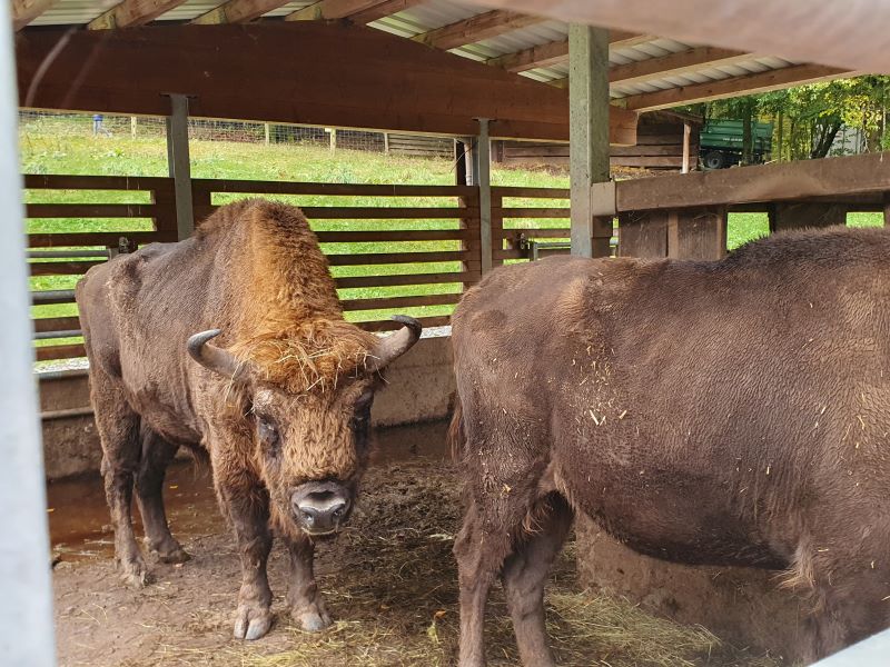 Kooperationsgottesdienst im Wildpark Gersfeld 2024