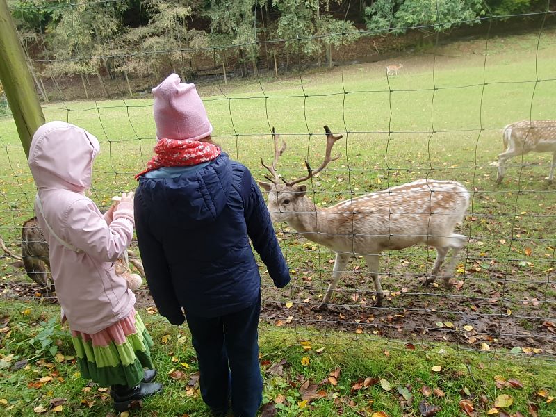 Kooperationsgottesdienst im Wildpark Gersfeld 2024