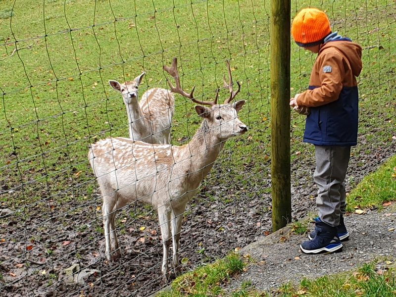 Kooperationsgottesdienst im Wildpark Gersfeld 2024
