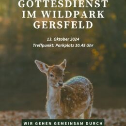 Kooperationsraum Rhön