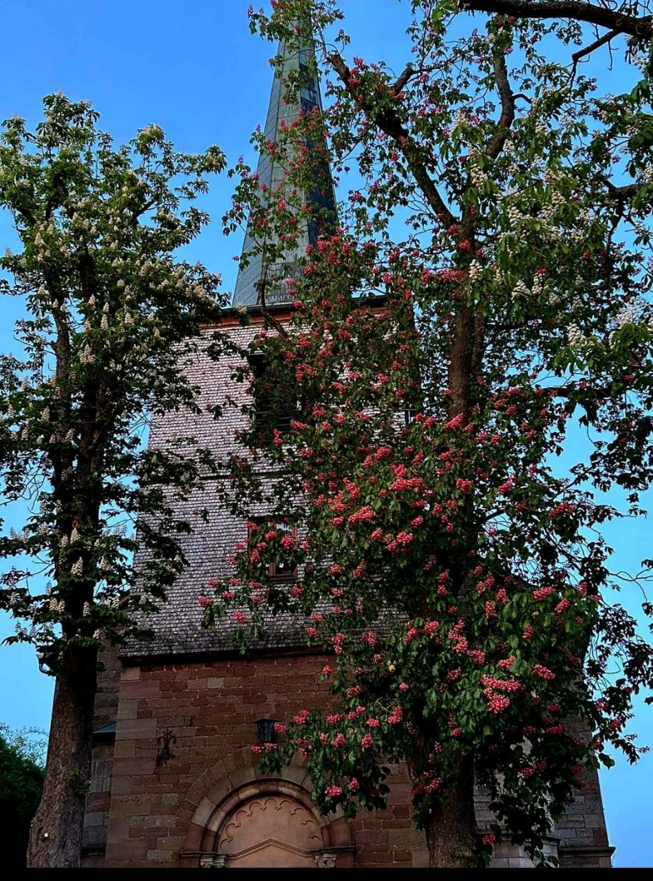 Kirche Hettenhausen Kastanienblüte